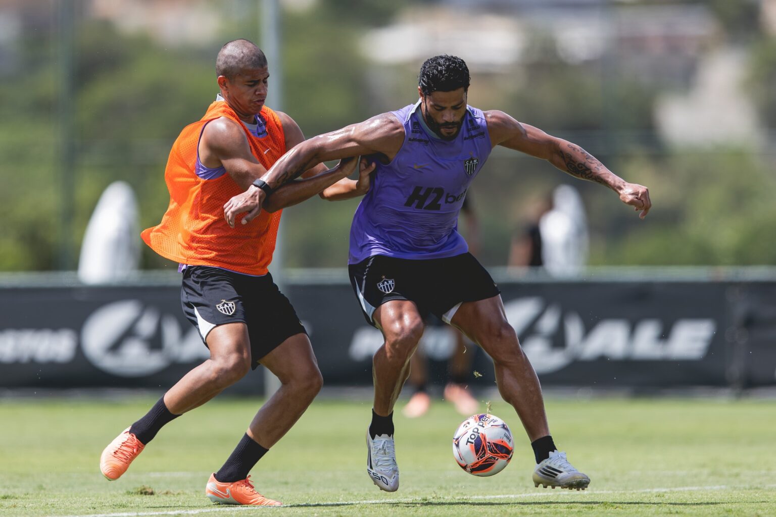 Atlético-MG x Tombense: Galo Finaliza Preparação com Titulares para o Campeonato Mineiro Atlético-MG x Tombense: Galo Finaliza Preparação com Titulares para o Campeonato Mineiro