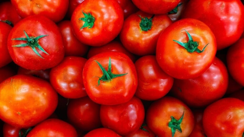 Aumento dos preços do tomate no Brasil: Fatores por trás da alta em janeiro Aumento dos preços do tomate no Brasil: Fatores por trás da alta em janeiro