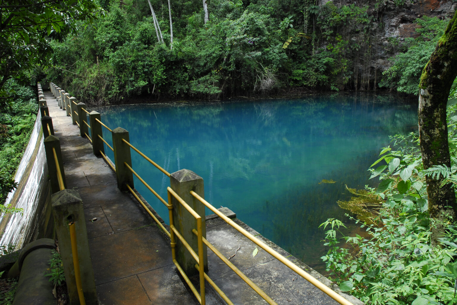 Descubra o Parque Estadual da Serra do Rola-Moça: um refúgio de verão na Grande BH Descubra o Parque Estadual da Serra do Rola-Moça: um refúgio de verão na Grande BH