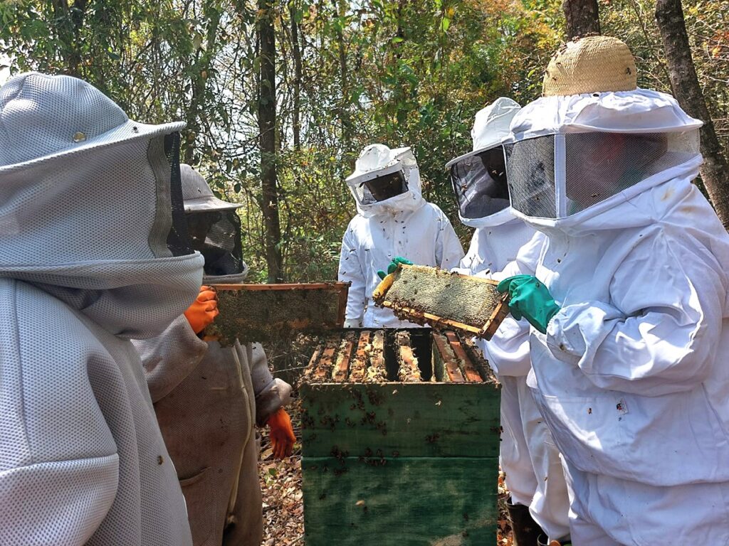 Emater-MG Lança Cartilha com Boas Práticas para Processamento do Mel Emater-MG Lança Cartilha com Boas Práticas para Processamento do Mel