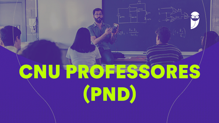 Nova Lei Estabelece Política Nacional de Indução à Docência na Educação Básica Nova Lei Estabelece Política Nacional de Indução à Docência na Educação Básica