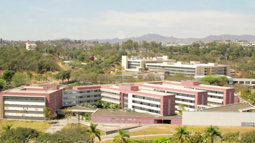 Concurso na UFMG: Oportunidade para Professor em Saúde Pública Concurso na UFMG: Oportunidade para Professor em Saúde Pública