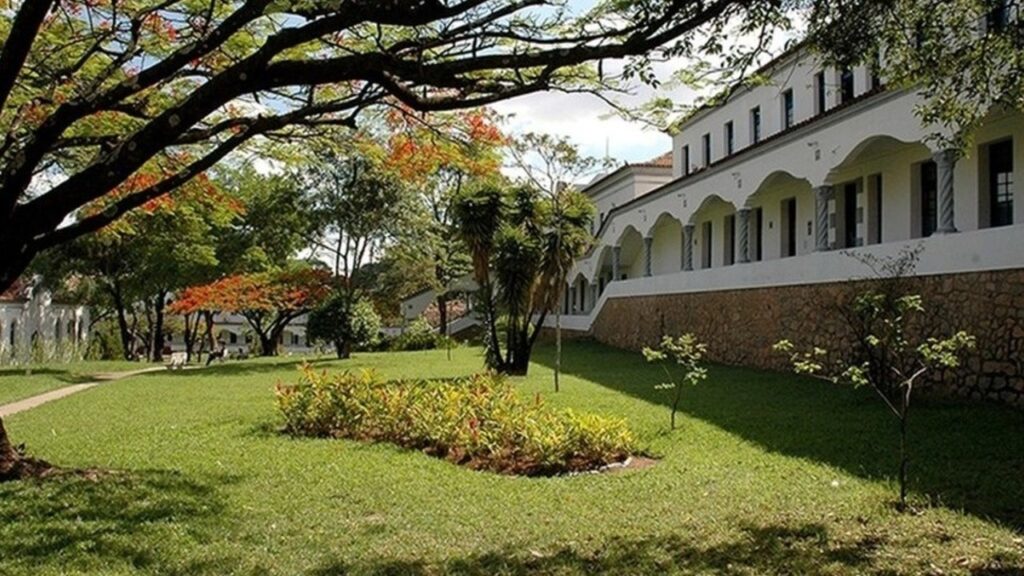 Guia Completo para Calouros no Coração Eucarístico: Dicas Essenciais para Aproveitar a Faculdade Guia Completo para Calouros no Coração Eucarístico: Dicas Essenciais para Aproveitar a Faculdade