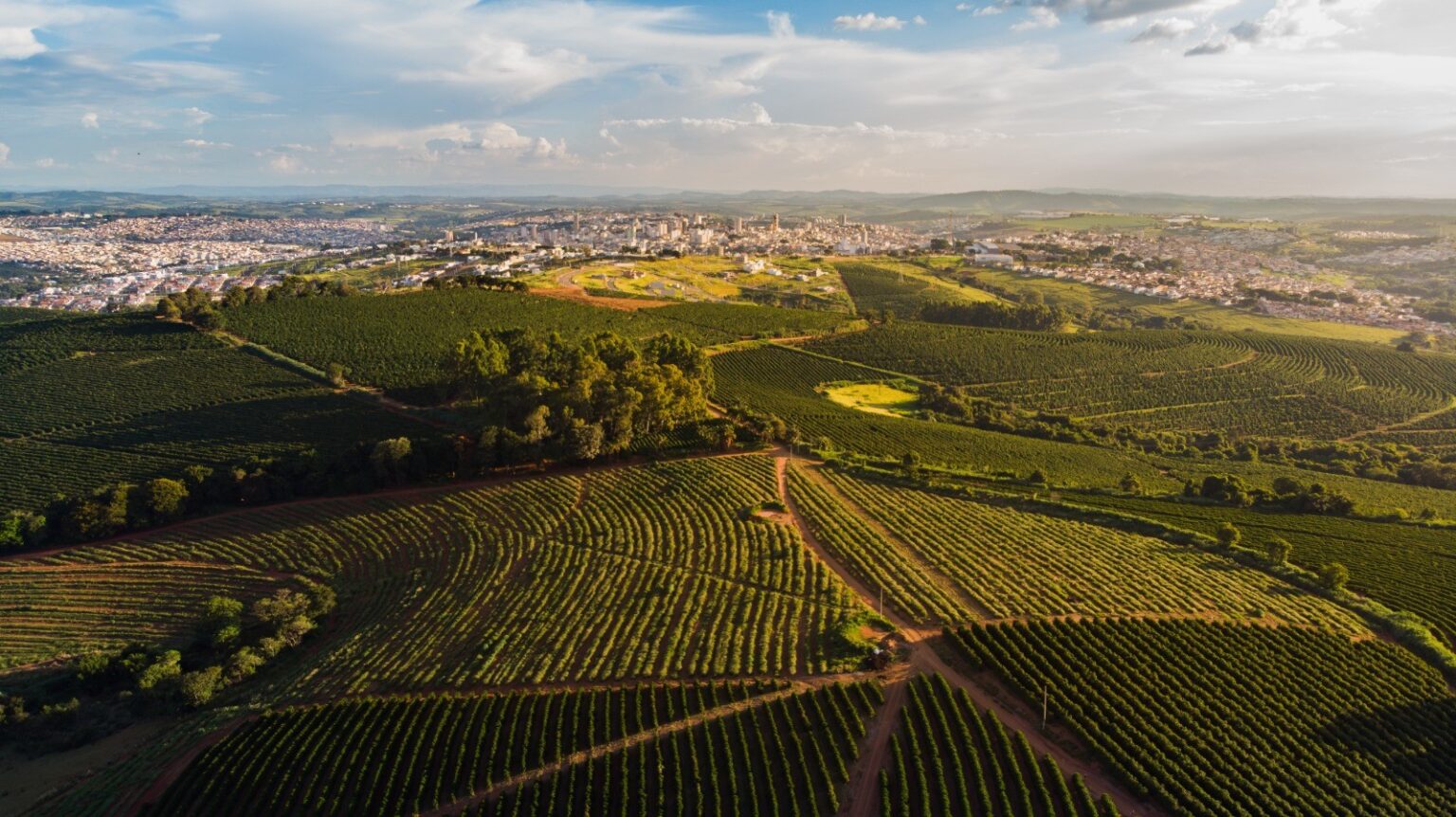 Café Mineiro: Rumo ao Reconhecimento como Paisagem Cultural do Estado