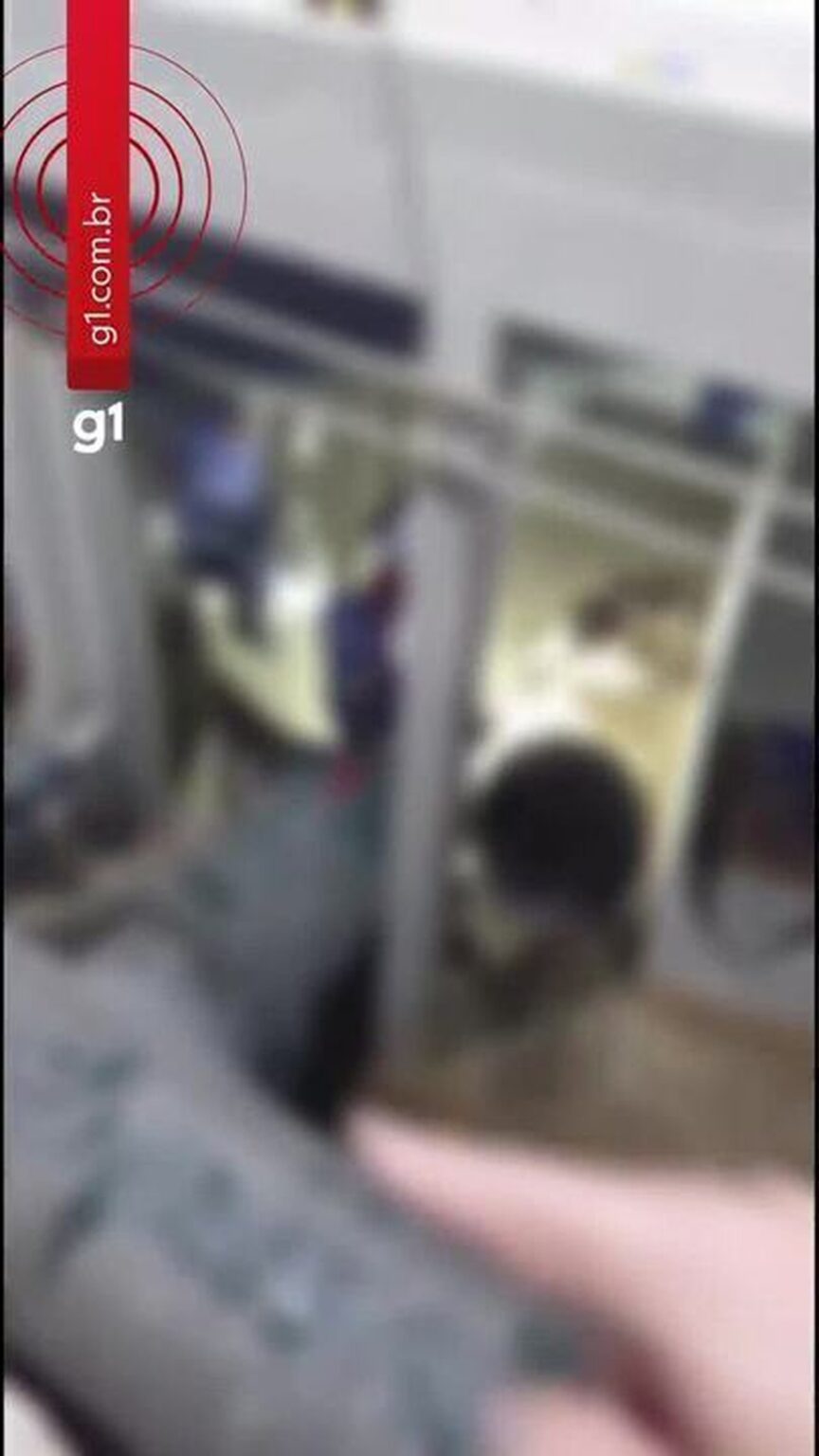 Égua causa falta d’água em mais de 700 bairros de BH; vídeo registra resgate – G1 Égua causa falta d'água em mais de 700 bairros de BH; vídeo registra resgate - G1