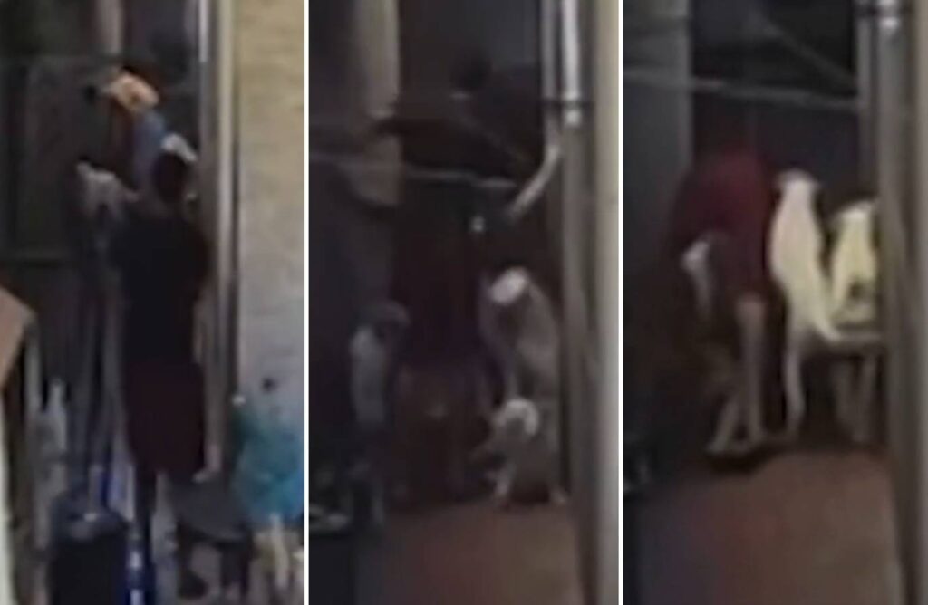 Lutador é preso após agredir enteado de 13 anos: 'Ele disse que estava disposto a matar'