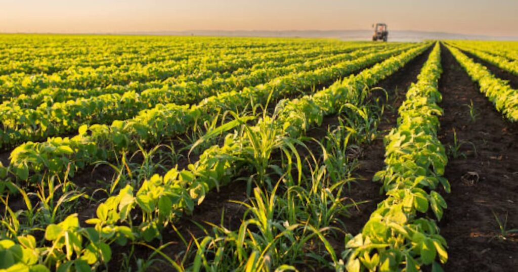 Tecnologia Limpa e Sustentável Transforma o Agro Brasileiro com Aumento de Produtividade Imagem do artigo