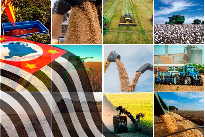 Agronegócio de São Paulo fecha 2025 com superávit de US$ 23 bilhões e amplia presença internacional Agronegócio de São Paulo fecha 2025 com superávit de US$ 23 bilhões e amplia presença internacional