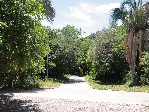 Cuidados Essenciais da Prefeitura de Juazeiro do Norte Durante a Quadra Chuvosa Cuidados Essenciais da Prefeitura de Juazeiro do Norte Durante a Quadra Chuvosa