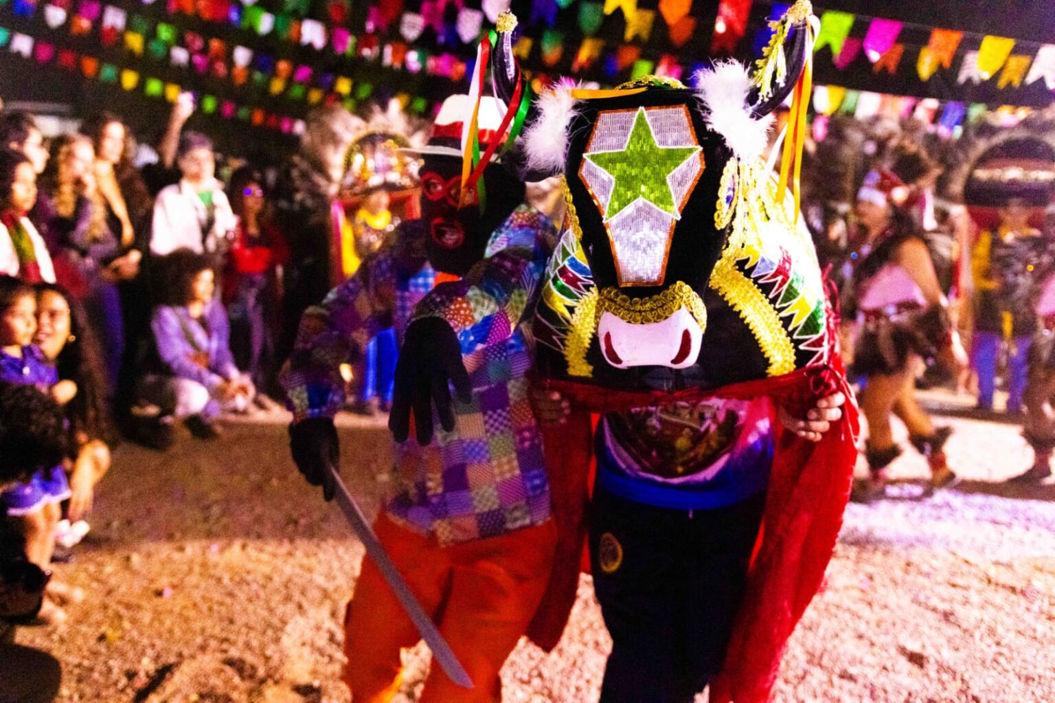 Cultura Negra em Movimento: Celebração da Diversidade Afro-Brasileira no DF até 2026 Cultura Negra em Movimento: Celebração da Diversidade Afro-Brasileira no DF até 2026
