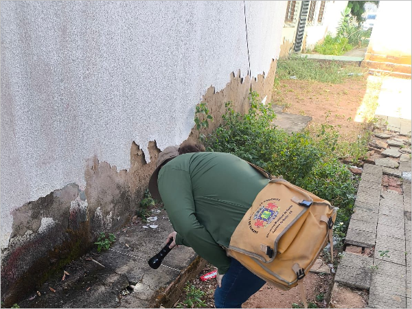 Escorpiões: Como Proceder ao Encontrar um e Solicitar Inspeção em Juazeiro do Norte Escorpiões: Como Proceder ao Encontrar um e Solicitar Inspeção em Juazeiro do Norte