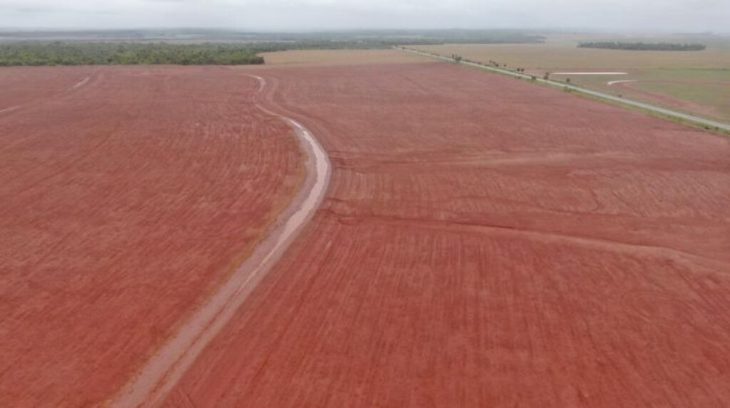 FCO Aloca R$ 3,2 Bilhões em Mato Grosso do Sul: 75% Destinados ao Agronegócio