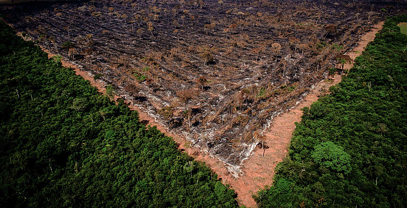 Gigantes do Agronegócio Rompem Moratória da Soja e Aumentam Risco de Desmatamento na Amazônia Gigantes do Agronegócio Rompem Moratória da Soja e Aumentam Risco de Desmatamento na Amazônia