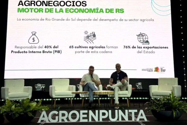 Agronegócio Gaúcho: Pilar Fundamental da Economia do Rio Grande do Sul Agronegócio Gaúcho: Pilar Fundamental da Economia do Rio Grande do Sul
