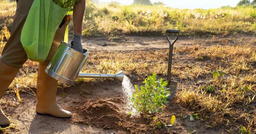 Consumo de Água no Agronegócio Atinge Níveis Alarmantes: Pressão nas Cadeias de Carne e Soja Consumo de Água no Agronegócio Atinge Níveis Alarmantes: Pressão nas Cadeias de Carne e Soja
