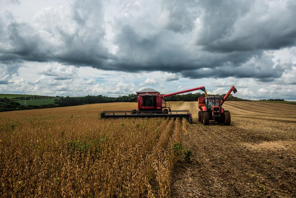Crescimento de 2% no Agronegócio: Recorde de Empregos em 2025 Crescimento de 2% no Agronegócio: Recorde de Empregos em 2025