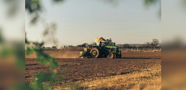Dia do Agronegócio: Celebrando o Setor que Impulsiona o PIB Brasileiro Dia do Agronegócio: Celebrando o Setor que Impulsiona o PIB Brasileiro