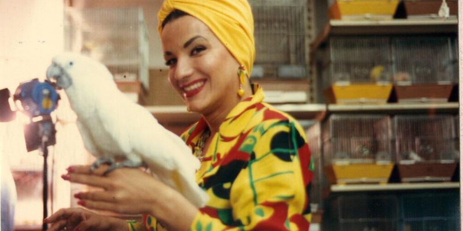 Viva Maria Prestigia Carmen Miranda em Aniversário de 117 Anos Viva Maria Prestigia Carmen Miranda em Aniversário de 117 Anos