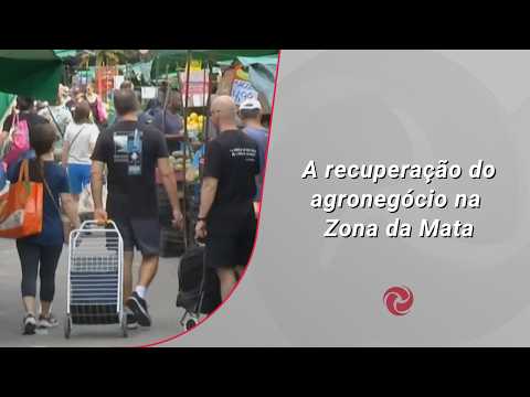 A Recuperação do Agronegócio na Zona da Mata: Um Olhar sobre o Futuro A Recuperação do Agronegócio na Zona da Mata: Um Olhar sobre o Futuro