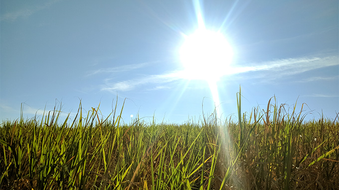 Clima no Agronegócio: Outono Traze Instabilidade e Reforça Monitoramento Agrometeorológico em São Paulo Clima no Agronegócio: Outono Traze Instabilidade e Reforça Monitoramento Agrometeorológico em São Pa