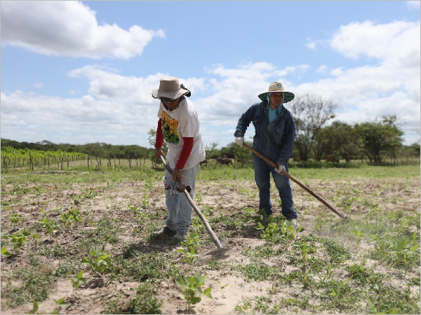 Juazeiro do Norte Entrega Títulos de Terra a 70 Famílias da Zona Rural Juazeiro do Norte Entrega Títulos de Terra a 70 Famílias da Zona Rural