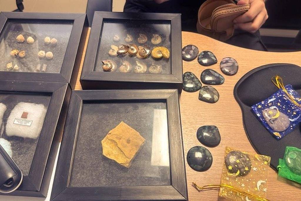 Polícia Federal Desmantela Contrabando de Fósseis no Ceará: 56 Itens Apreendidos Polícia Federal Desmantela Contrabando de Fósseis no Ceará: 56 Itens Apreendidos