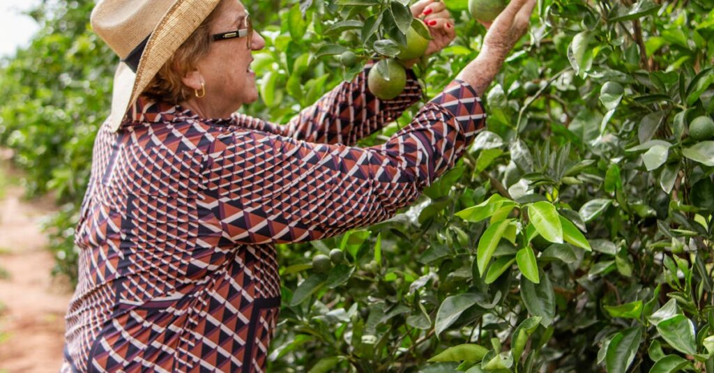 A Luta pela Imagem do Agro Brasileiro no Cenário Global A Luta pela Imagem do Agro Brasileiro no Cenário Global
