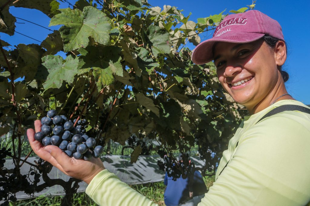 Câmara Temática das Mulheres no Agronegócio é Instituída pelo Governo de SP na Agrishow Câmara Temática das Mulheres no Agronegócio é Instituída pelo Governo de SP na Agrishow