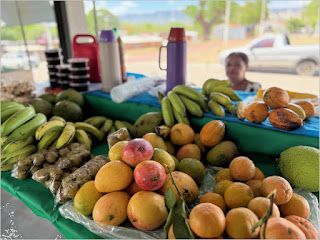Crato Celebra a Agricultura Familiar com Feira Regional de 1º a 3 de Maio Crato Celebra a Agricultura Familiar com Feira Regional de 1º a 3 de Maio