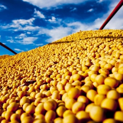 Crescimento do PIB do Agronegócio Brasileiro: 12,20% em 2025 Crescimento do PIB do Agronegócio Brasileiro: 12,20% em 2025