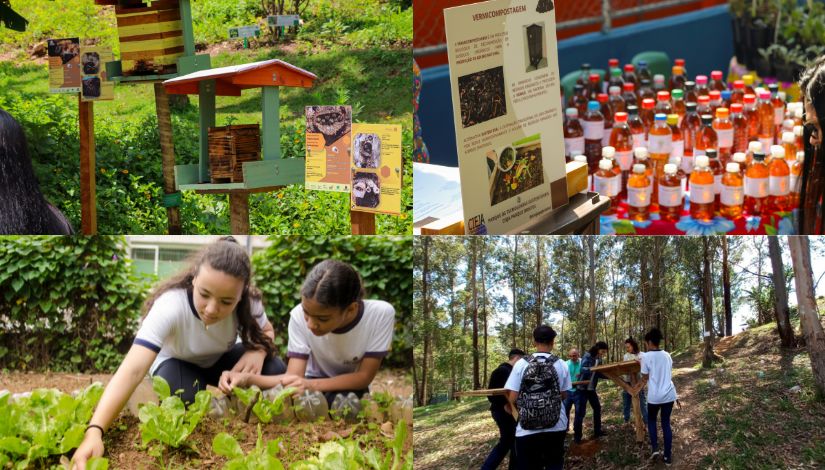 Inscrições Abertas para Prêmio Internacional de Sustentabilidade na Educação Inscrições Abertas para Prêmio Internacional de Sustentabilidade na Educação
