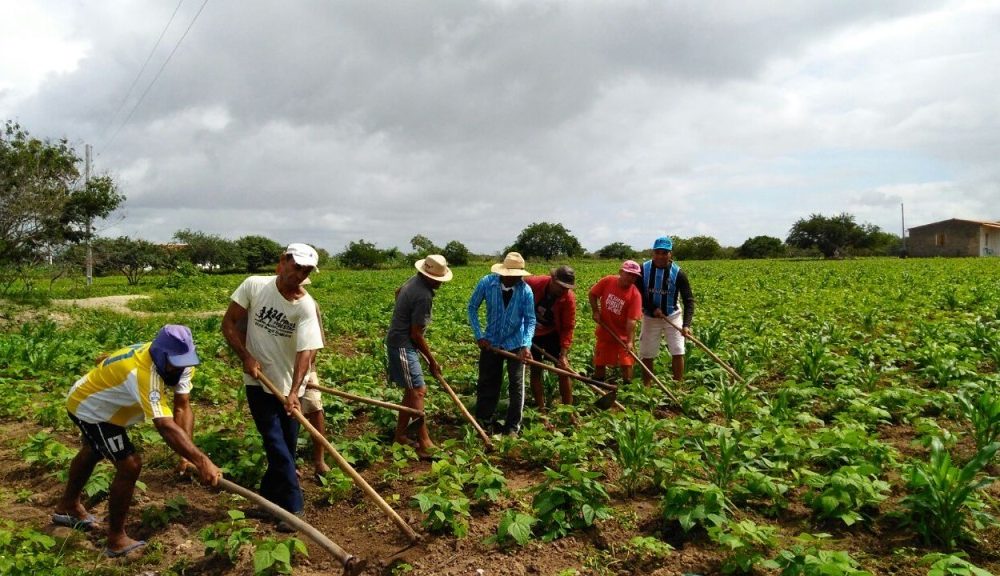 O Papel do Agronegócio na Geração de Empregos e a Demanda Crescente por Safristas O Papel do Agronegócio na Geração de Empregos e a Demanda Crescente por Safristas