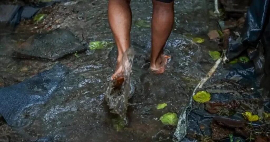 Saúde em Maceió Intensifica Orientações sobre Leptospirose Durante as Chuvas Saúde em Maceió Intensifica Orientações sobre Leptospirose Durante as Chuvas