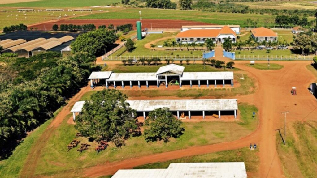 Ourofino Saúde Animal: Lucro Cresce 10 Vezes e Ações Sobem 48% em 2026 Ourofino Saúde Animal: Lucro Cresce 10 Vezes e Ações Sobem 48% em 2026