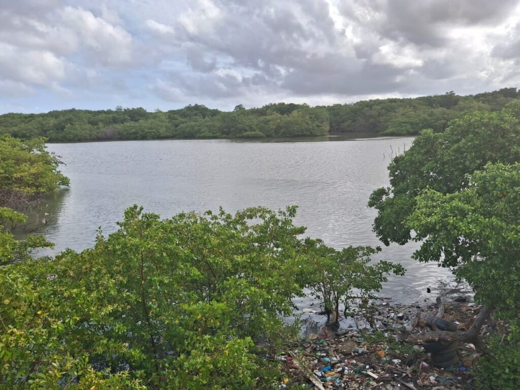 Corpo de jovem desaparecido no rio Anil é encontrado em São Luís Corpo de jovem desaparecido no rio Anil é encontrado em São Luís