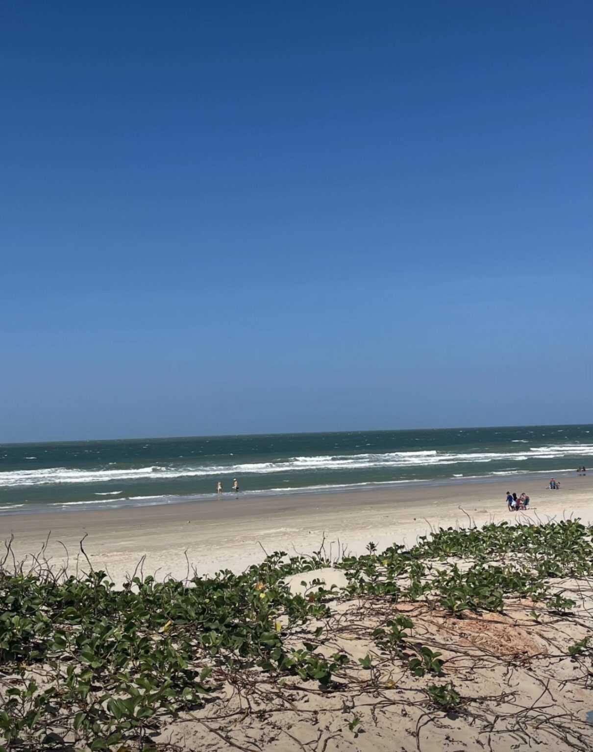 Beleza Inusitada: Mar de São Luís Surpreende com Coloração Verde Beleza Inusitada: Mar de São Luís Surpreende com Coloração Verde