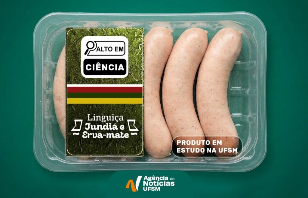 Inovação na Gastronomia: UFSM Desenvolve Linguiça de Jundiá com Erva-Mate Inovação na Gastronomia: UFSM Desenvolve Linguiça de Jundiá com Erva-Mate