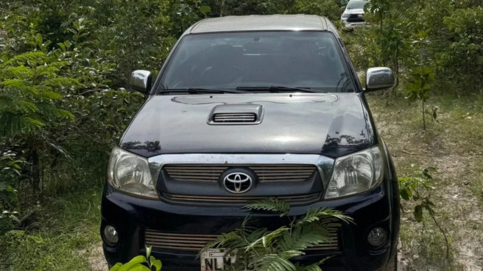 Mistério em Sítio Novo: Dois Corpos Encontrados em Caminhonete na Zona Rural Mistério em Sítio Novo: Dois Corpos Encontrados em Caminhonete na Zona Rural