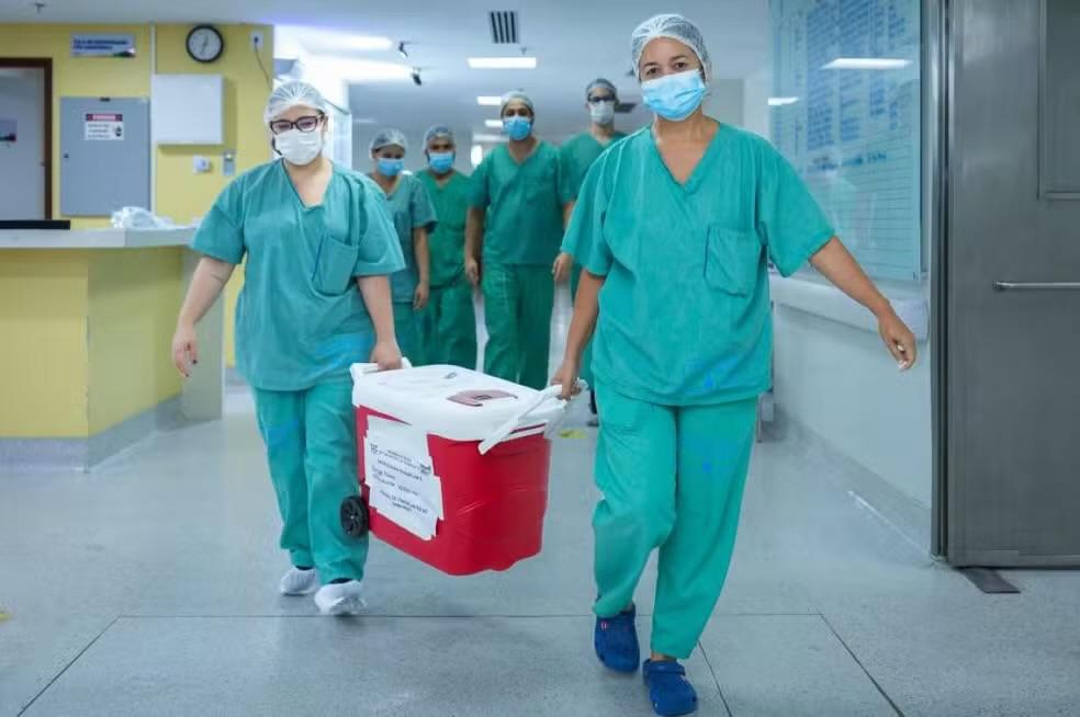 Maranhão é o Primeiro Estado do Nordeste a Realizar Transplante Hepático Intervivos entre Adultos Maranhão é o Primeiro Estado do Nordeste a Realizar Transplante Hepático Intervivos entre Adultos