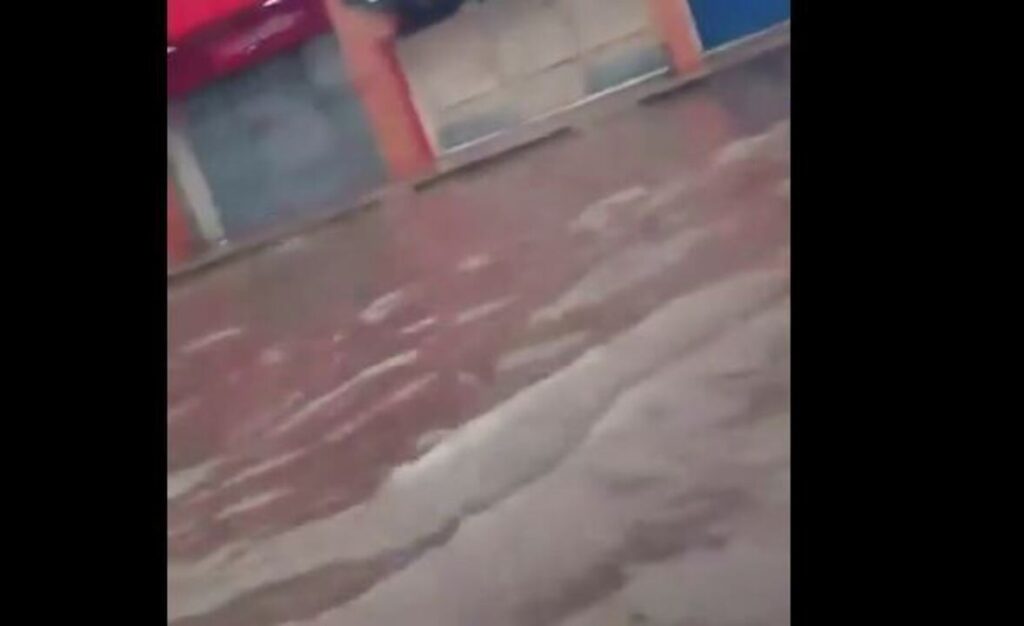 Alagamentos em São Luís: Chuva Causa Dificuldades nas Avenidas da Cidade