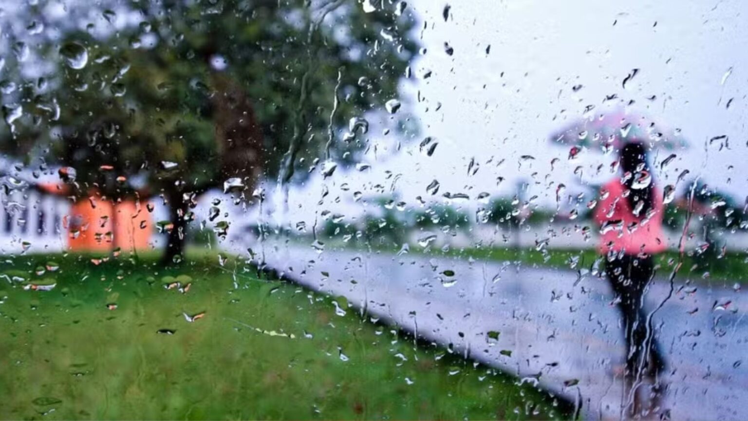 Maranhão: Previsão de Até 400 mm de Chuva em Março e Suas Causas Climáticas Maranhão: Previsão de Até 400 mm de Chuva em Março e Suas Causas Climáticas