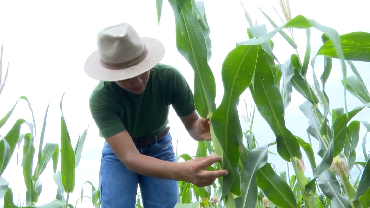 Mirante Rural: Educação no Campo e Tradições Maranhenses em Destaque