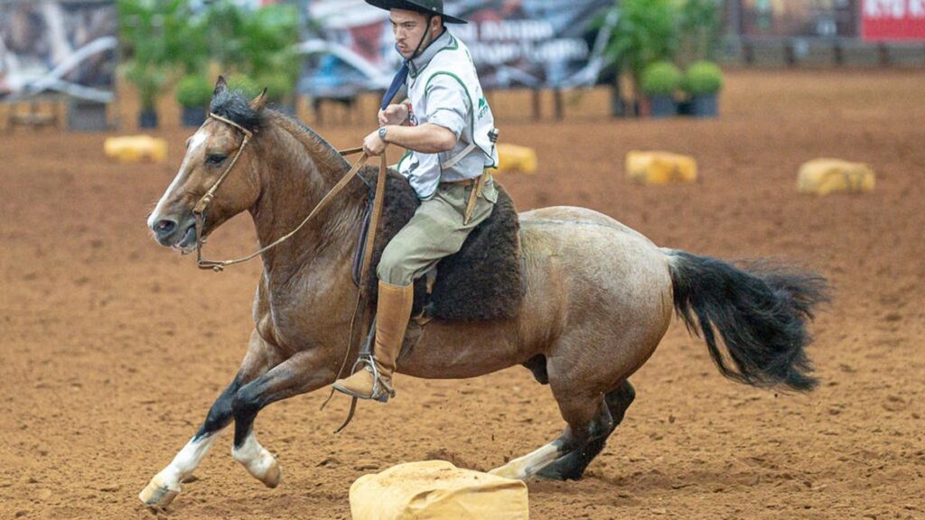 Rodeio Internacional de Pelotas: 29ª Edição Promete Receber 20 Mil Pessoas Rodeio Internacional de Pelotas: 29ª Edição Promete Receber 20 Mil Pessoas