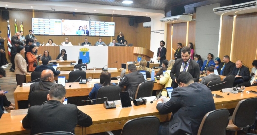 Câmara Municipal de São Luís aprova proteção social e empoderamento feminino Câmara Municipal de São Luís aprova proteção social e empoderamento feminino