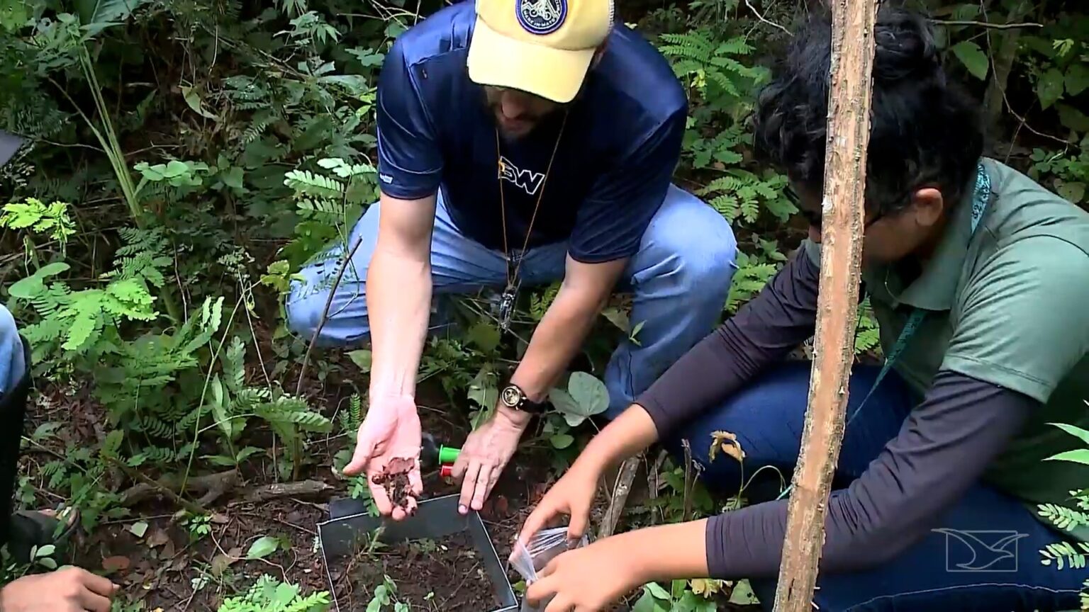 Mirante Rural: Tecnologia e Sustentabilidade no Campo Maranhense