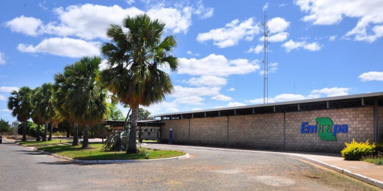 Aplicativo Gratuito da Embrapa Transforma Planejamento de Barragens no Semiárido
