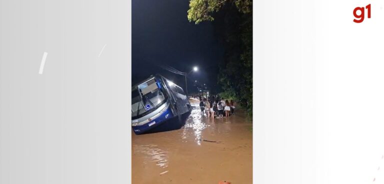 Acidente com Ônibus de Turismo em SC: Motorista Desvia e Veículo Sai da Pista