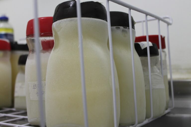 Baixo Estoque de Leite no Biama de Petrolina: Saiba Como Contribuir Baixo Estoque de Leite no Biama de Petrolina: Saiba Como Contribuir