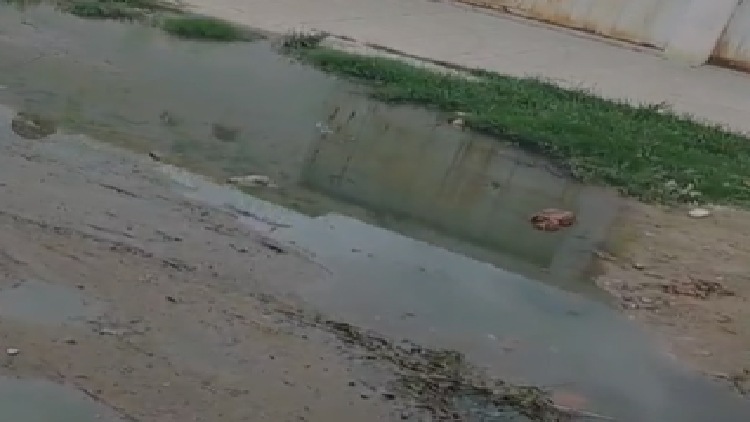 Esgoto a Céu Aberto em Petrolina: Moradores Sofrem com Problema há Mais de 30 Dias Esgoto a Céu Aberto em Petrolina: Moradores Sofrem com Problema há Mais de 30 Dias