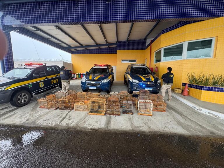 Ação da PRF Recupera 132 Aves Silvestres em Petrolina e Combate a Comércio Ilegal